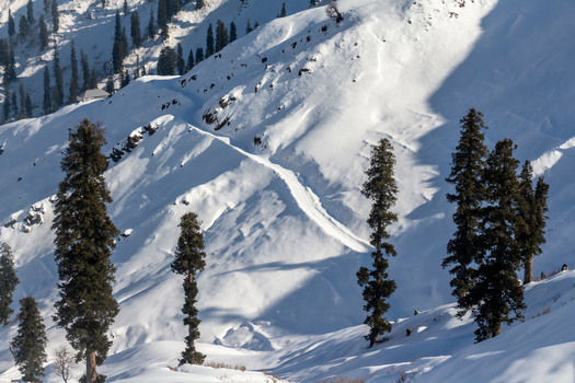 View of snow laden mountain terrain contrasts with dark green pine trees under a crisp winter sky in Haveli Azad Kashmir Pakistan.