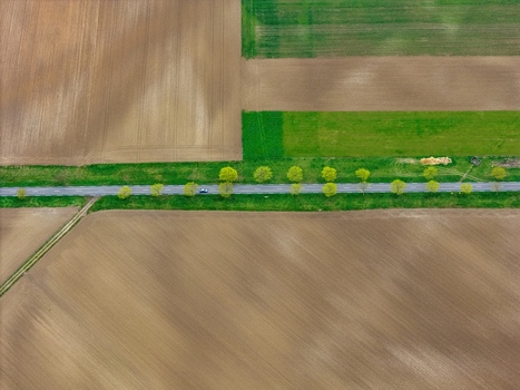 Aerial view of a road lined with vibrant green trees cutting through the patchwork of earth toned fields a symphony of colors and textures Neuf Brisach Grand Est France.