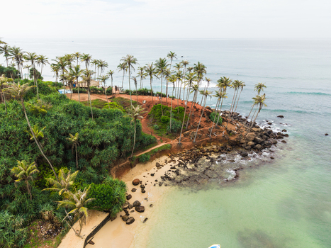 Aerial view of Coconut Tree Hill with its iconic palm trees and red soil overlooking the turquoise ocean and coastline in Mirissa Southern Province Sri Lanka. Aerial view of Coconut Tree Hill with its iconic palm trees and red soil overlooking the turquoise ocean and coastline in Mirissa Southern Province Sri Lanka.
