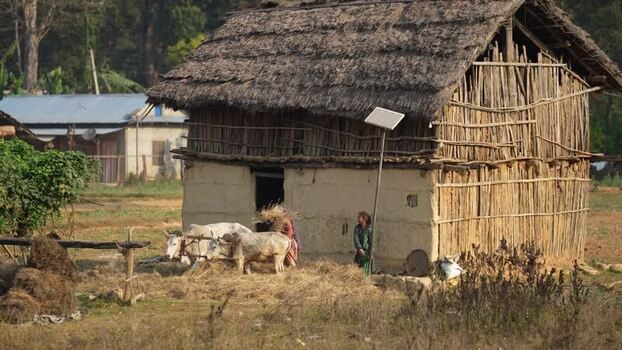 View of a traditional rural house with oxen in Dhangadhi Nepal. View of a traditional rural house with oxen in Dhangadhi Nepal.