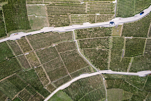 Aerial view of the terraced vineyards of Vignoble du Lavaux with geometric rows of vines and winding roads in Rivaz Vaud Switzerland.