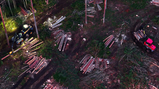 Aerial view of forestry machinery harvesting timber in a forest clearing with piles of logs in Latvia. Aerial view of forestry machinery harvesting timber in a forest clearing with piles of logs in Latvia.
