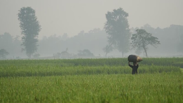 View of a farmer carrying a sack through misty fields Bangladesh. View of a farmer carrying a sack through misty fields Bangladesh.