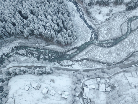 Top aerial view of Beas river by the pine trees forest in Manali city of Himachal pradesh of India.