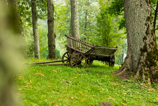 View of a rustic wooden horse drawn cart resting on a lush green lawn surrounded by tall trees at Taujenai Manor Taujenai Vilnius County Lithuania.