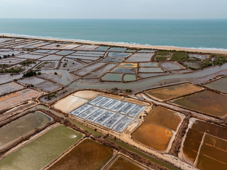 Aerial view of salt production ponds with varying water colors and textures along the coastline in Vietnam. Aerial view of salt production ponds with varying water colors and textures along the coastline in Vietnam.
