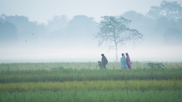 View of people walking through a foggy field in Bogura Bangladesh.