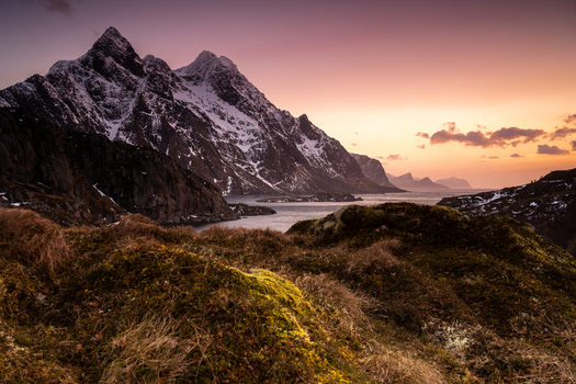 View of snow capped mountains rising above a tranquil fjord at sunset with mossy terrain in the foreground in Leknes Lofoten Norway.