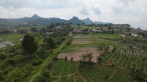 Aerial view of terraced fields and mountains in Indonesia.
