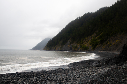 View of the rugged shoreline of the Lost Coast with dark pebble beaches and steep forested cliffs under an overcast sky in Humboldt County California United States.