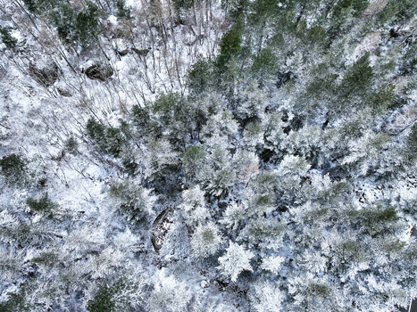 Aerial view of the snow covered pine forest and rocky terrain in the Serra da Estrela mountains Unhais da Serra Castelo Branco Portugal. Aerial view of the snow covered pine forest and rocky terrain in the Serra da Estrela mountains Unhais da Serra Castelo Branco Portugal.