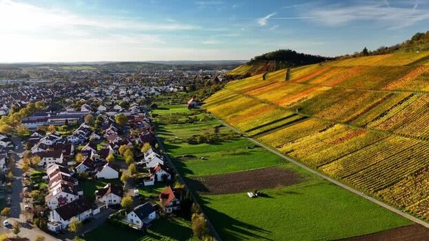 Aerial view of autumn vineyards and the town of Metzingen Germany.