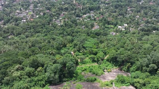 Aerial view of lush tropical forest canopy in Kandy Sri Lanka.