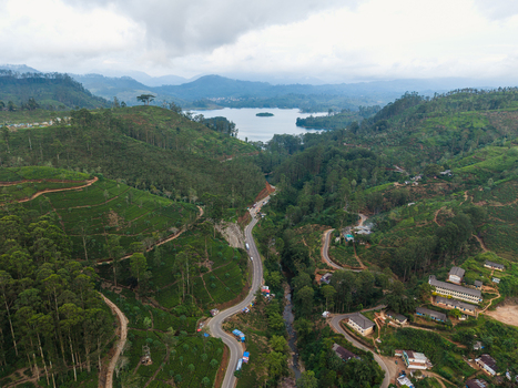 Aerial view of a winding road snaking through lush green tea plantations and dense forests towards a calm lake under clouds in Nallathanniya Central Province Sri Lanka. Aerial view of a winding road snaking through lush green tea plantations and dense forests towards a calm lake under clouds in Nallathanniya Central Province Sri Lanka.