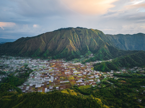 Aerial view of the Sembalun agricultural basin nestled at the foothills of Mount Rinjani with patchwork fields and lush green slopes in Sembalun West Nusa Tenggara Indonesia. Aerial view of the Sembalun agricultural basin nestled at the foothills of Mount Rinjani with patchwork fields and lush green slopes in Sembalun West Nusa Tenggara Indonesia.