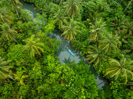 Aerial view of a small boat navigating the lush Maasin River surrounded by dense coconut palm trees and tropical vegetation in Siargao Philippines. Aerial view of a small boat navigating the lush Maasin River surrounded by dense coconut palm trees and tropical vegetation in Siargao Philippines.