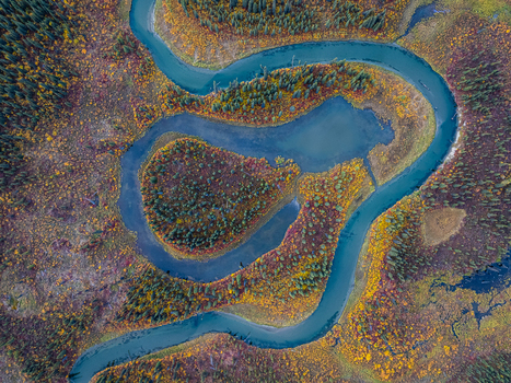Aerial view of a winding river meandering through a vibrant autumn landscape with colorful foliage and dense evergreen forests near Paxson Alaska United States. Aerial view of a winding river meandering through a vibrant autumn landscape with colorful foliage and dense evergreen forests near Paxson Alaska United States.