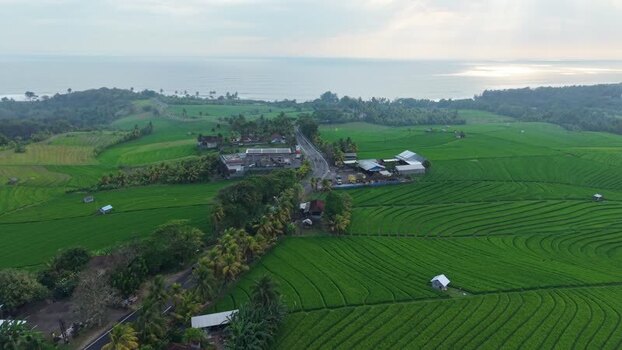Aerial view of Soka Rice Field terraces in Selemadeg Indonesia.