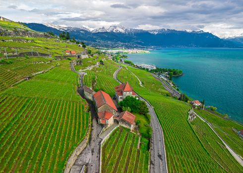 Aerial view of the terraced vineyards of Lavaux overlooking Lake Geneva with snow capped mountains in the distance near Lausanne Vaud Switzerland.