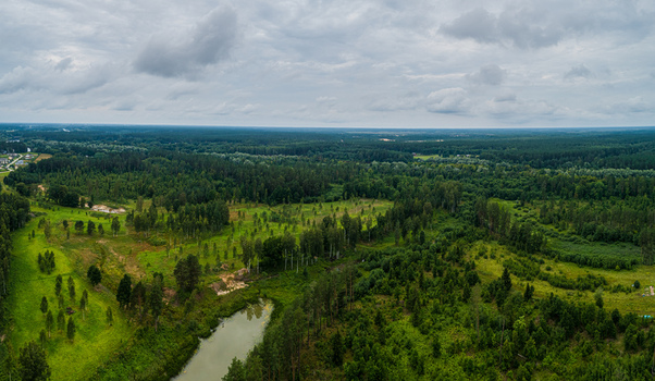 Aerial view of a lush green forest landscape with a winding river and scattered trees under a cloudy sky in Latvia. Aerial view of a lush green forest landscape with a winding river and scattered trees under a cloudy sky in Latvia.