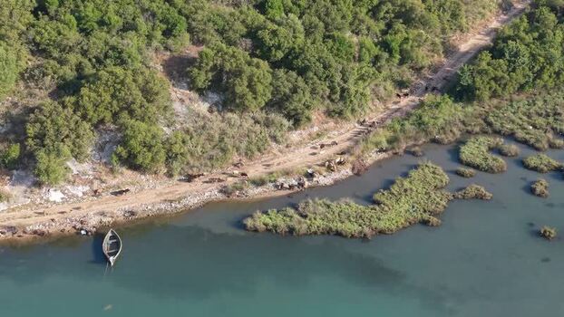 Aerial view of Vivari Channel with cows and boat Albania.