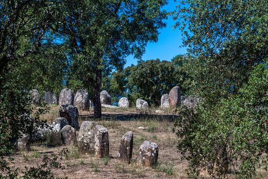 View of Almendres Cromlech with ancient standing stones arranged in a circle surrounded by cork oak trees in Nossa Senhora de Guadalupe Distrito de Evora Portugal. View of Almendres Cromlech with ancient standing stones arranged in a circle surrounded by cork oak trees in Nossa Senhora de Guadalupe Distrito de Evora Portugal.
