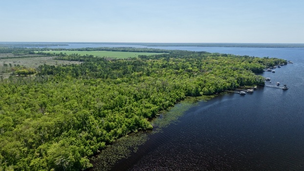 Aerial view of the lush green forests contrasting with the deep blue water near Palmo Fish Camp Road St. Augustine Florida United States. Aerial view of the lush green forests contrasting with the deep blue water near Palmo Fish Camp Road St. Augustine Florida United States.