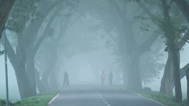 View of a foggy road lined with trees and people Bangladesh.