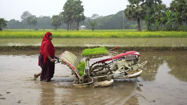 View of a woman operating a rice transplanter Bangladesh.