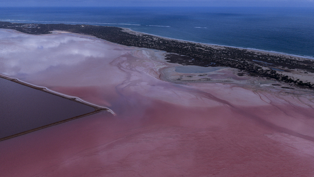 Aerial view of the vibrant pink waters of Hutt Lagoon separated from the deep blue ocean by a narrow strip of sand dunes and coastal vegetation in Australia. Aerial view of the vibrant pink waters of Hutt Lagoon separated from the deep blue ocean by a narrow strip of sand dunes and coastal vegetation in Australia.