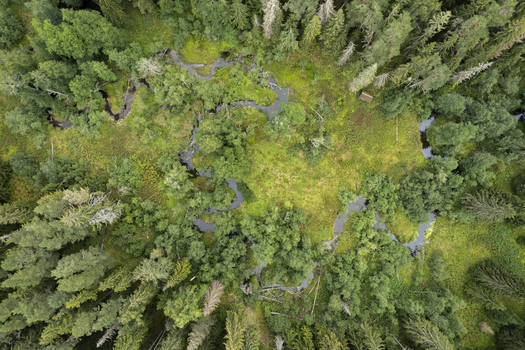 Aerial view of a winding river flowing through the dense green forest of Lahemaa National Park in Lahemaa Estonia. Aerial view of a winding river flowing through the dense green forest of Lahemaa National Park in Lahemaa Estonia.