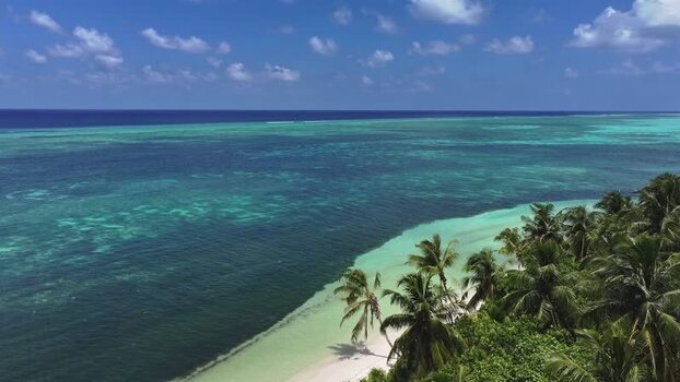 Aerial view of a tropical beach with palm trees and coral reefs Maldives. Aerial view of a tropical beach with palm trees and coral reefs Maldives.