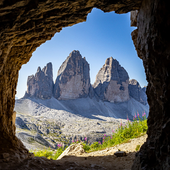 View of Tre Cime di Lavaredo framed by a natural rock tunnel with wildflowers in the foreground in Auronzo di Cadore Veneto Italy.
