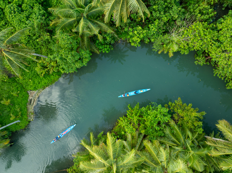 Aerial view of Maasin River with lush palm trees and people kayaking in blue boats in Siargao Philippines. Aerial view of Maasin River with lush palm trees and people kayaking in blue boats in Siargao Philippines.