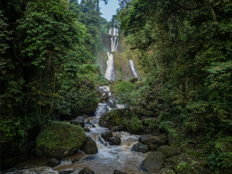 Aerial view of the multi tiered Curug Telu waterfall cascading through dense tropical jungle and lush green foliage in Kendal Central Java Indonesia. Aerial view of the multi tiered Curug Telu waterfall cascading through dense tropical jungle and lush green foliage in Kendal Central Java Indonesia.