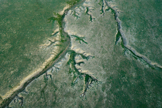 Aerial view of the eroded landscape and ravines of Airakty in the green steppe of Shetpe Mangystau Region Kazakhstan.