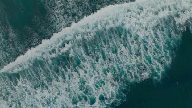Aerial view of surfers in waves at La Jolla Cove United States.