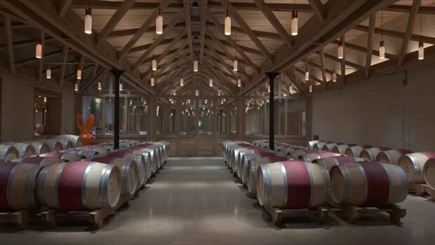 View of a modern wine barrel room in Le Pian M&eacute;doc France.