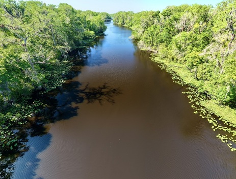 Aerial view of Sixmile Creek with dark water flowing through a dense green forest and lily pads along the banks in St. Johns County Florida United States.