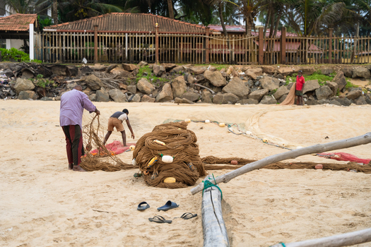 Sri Lanka 29 January 2026 View of local fishermen preparing large traditional fishing nets on a sandy beach with palm trees and buildings in the background.