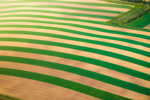 Aerial view of striped agricultural fields with alternating green and brown soil patterns in Brno South Moravian Region Czechia.