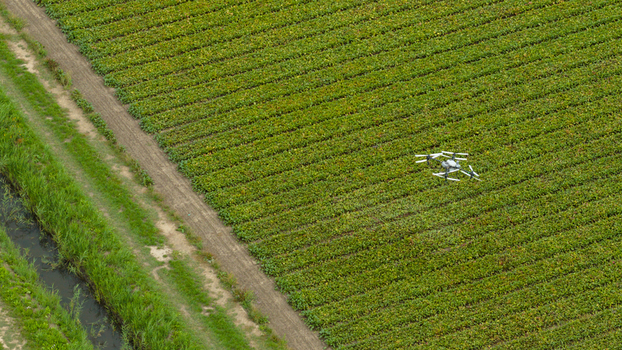 Aerial view of a drone flying over a large agricultural field with rows of crops a dirt path and a small canal in Zeewolde Flevoland Netherlands. Aerial view of a drone flying over a large agricultural field with rows of crops a dirt path and a small canal in Zeewolde Flevoland Netherlands.