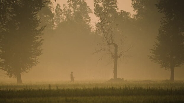 View of a person walking in a misty field Bangladesh.