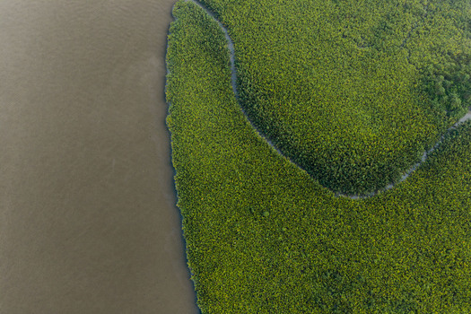 Aerial view of a winding river meeting a dense mangrove forest with lush green vegetation and calm water in Opobo Town Rivers Nigeria. Aerial view of a winding river meeting a dense mangrove forest with lush green vegetation and calm water in Opobo Town Rivers Nigeria.