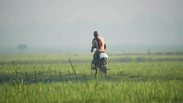 View of a man riding a bicycle through misty fields Bangladesh. View of a man riding a bicycle through misty fields Bangladesh.