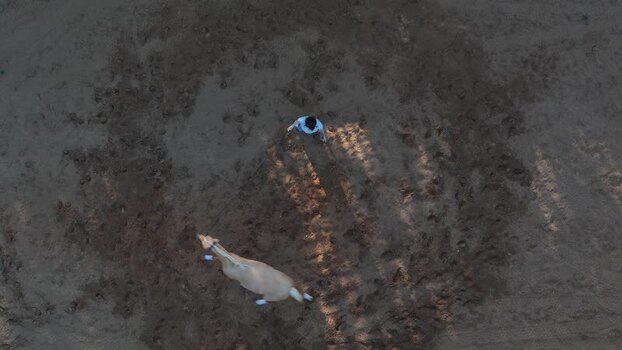 Aerial view of horse training in a sandy arena Portugal. Aerial view of horse training in a sandy arena Portugal.