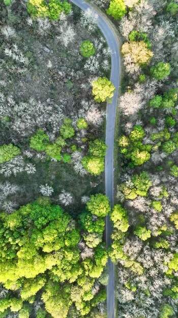 Aerial view of a winding road through a lush forest Spain. Aerial view of a winding road through a lush forest Spain.