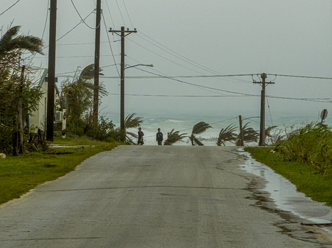 San Jose Tinian Northern Mariana Islands 06 July 2026 View of two people walking along a wet road during the passage of Super Typhoon Bavi with wind blown trees. San Jose Tinian Northern Mariana Islands 06 July 2026 View of two people walking along a wet road during the passage of Super Typhoon Bavi with wind blown trees.