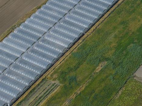 Aerial view of long rows of arched industrial greenhouses situated next to lush green fields and cultivated land in Paestum Campania Italy.