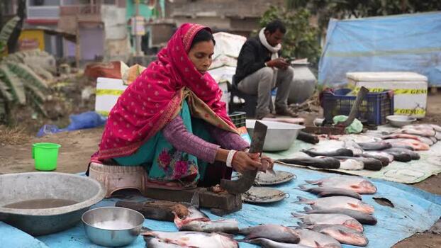 View of a woman cleaning fish at a market in Patna India.